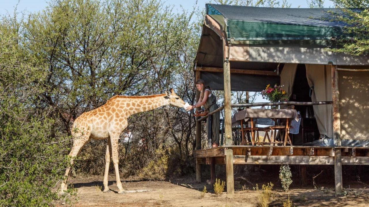 Chandelier Game Lodge » Zuid Afrika » Matoke Tours