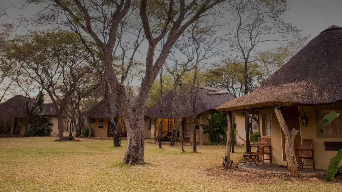 Mziki Safari Lodge » Matoke