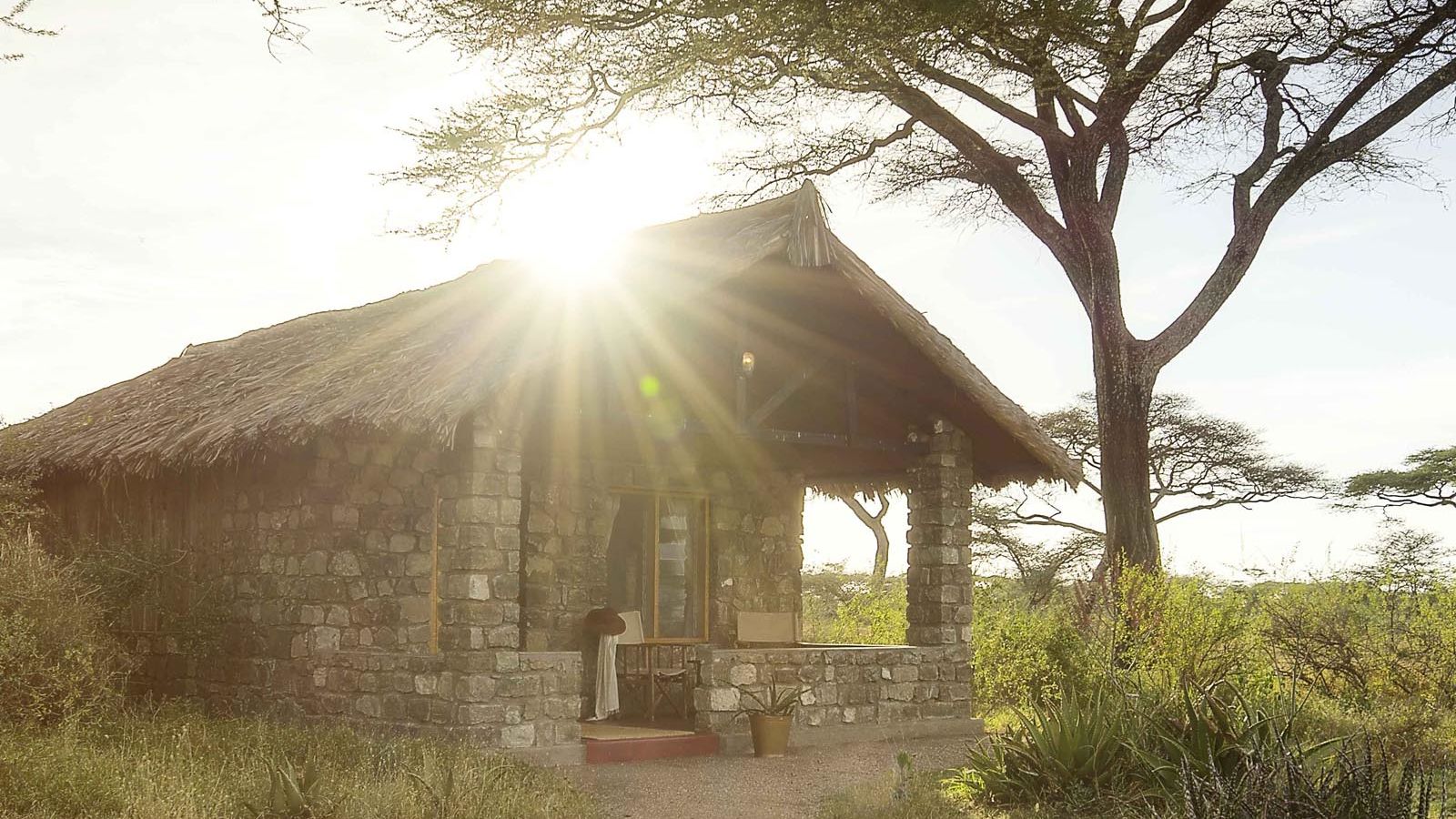 Ndutu Safari Lodge » Matoke