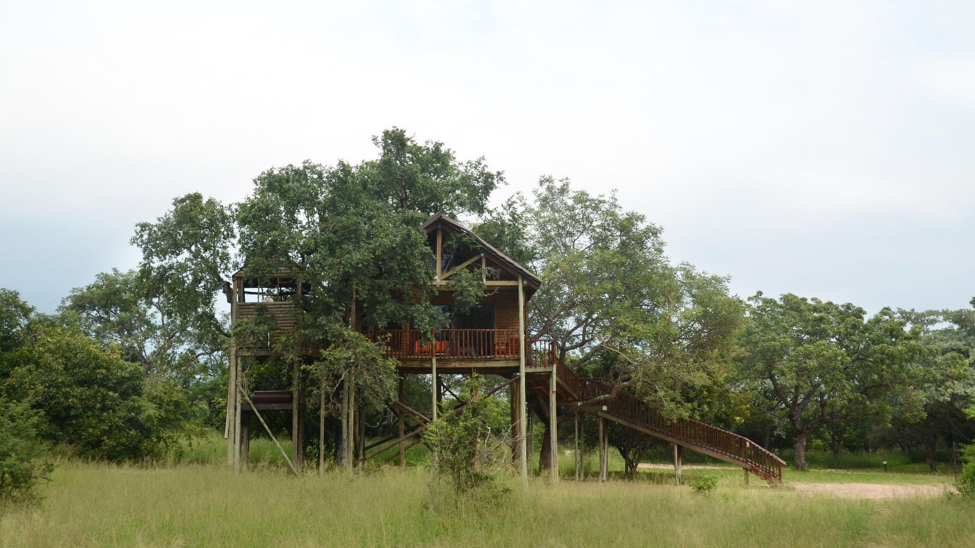 Pezulu Treehouse Game Lodge » Matoke