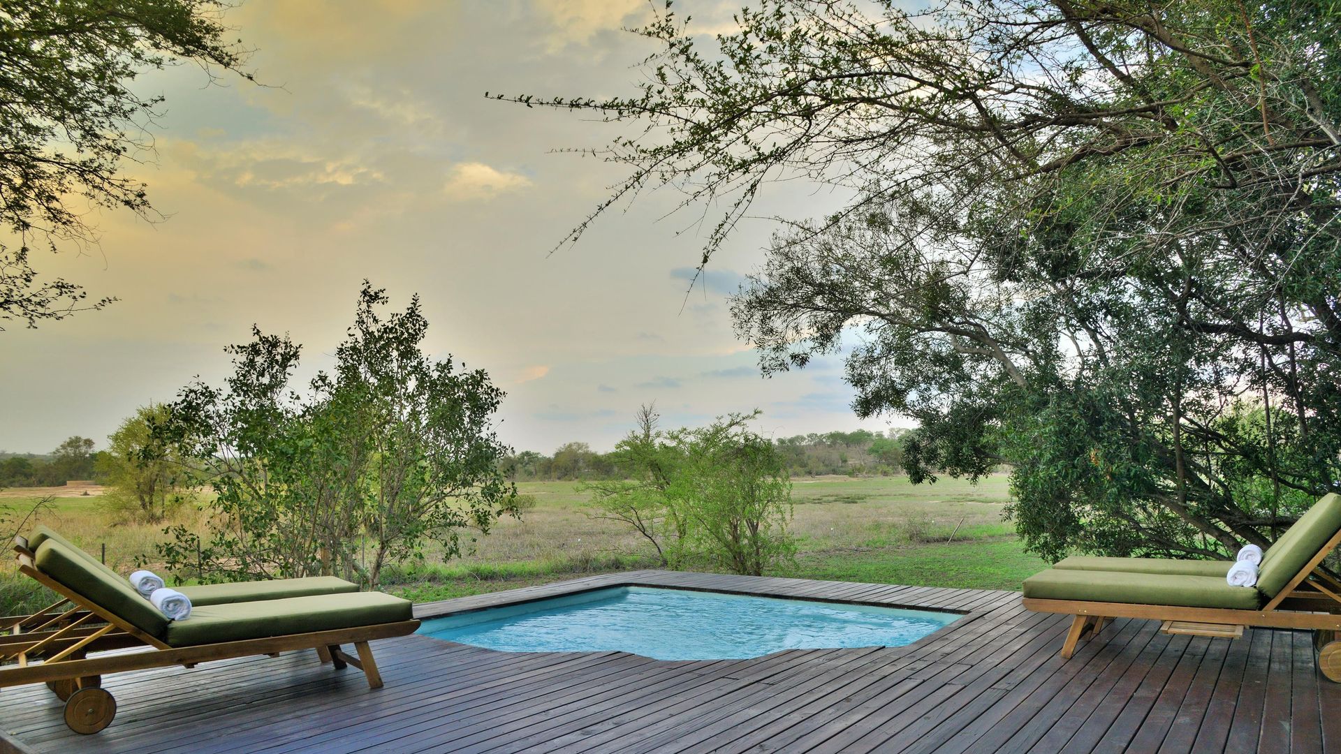 Rhino Walking Safari Plains Camp » Matoke