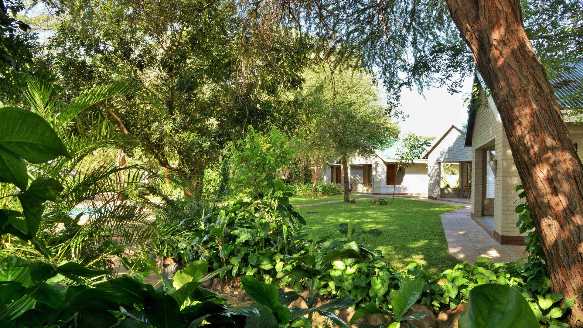 River View Lodge » Matoke