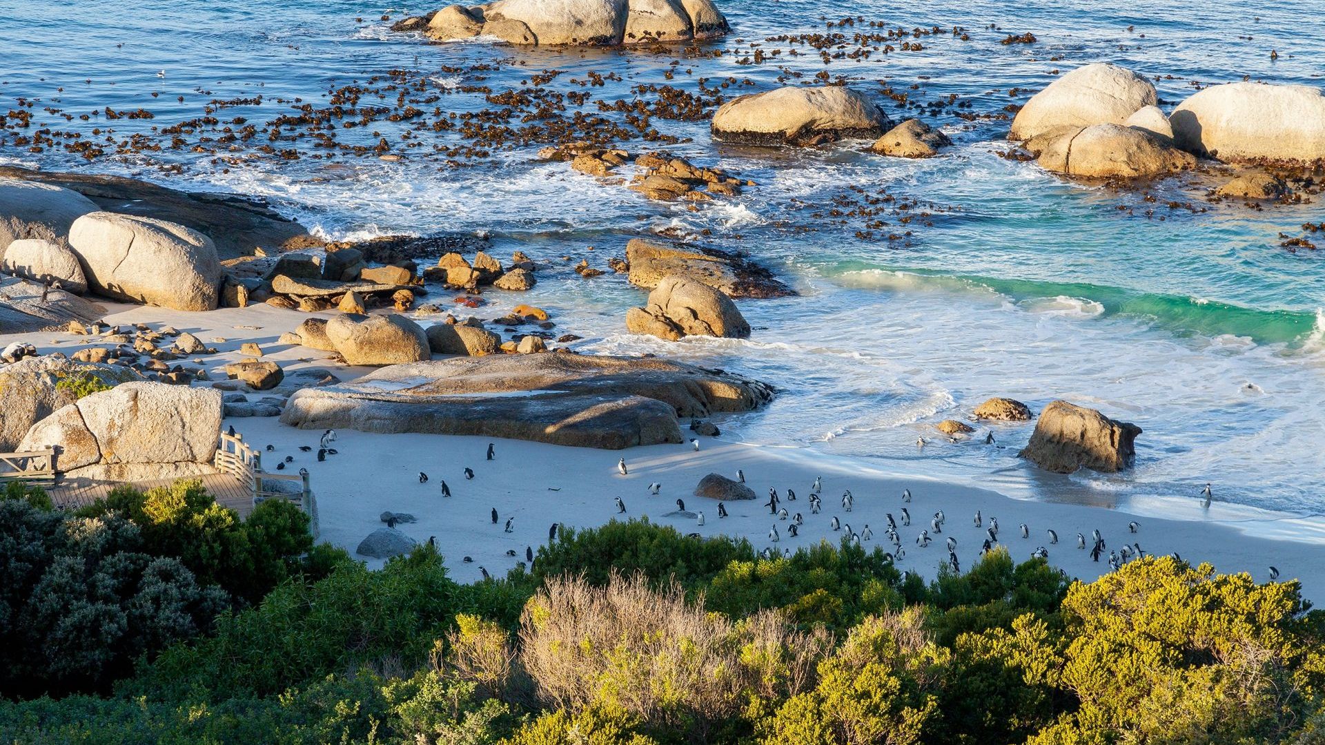 Tintswalo Boulders » Matoke