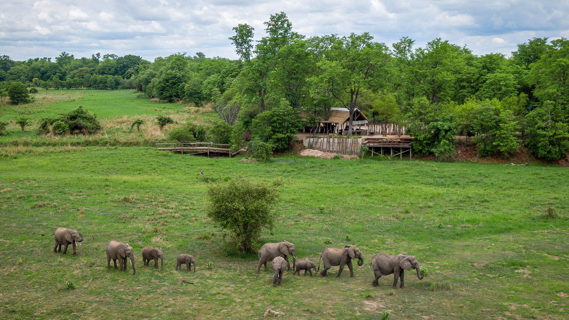 Zungulila Bushcamp » Matoke