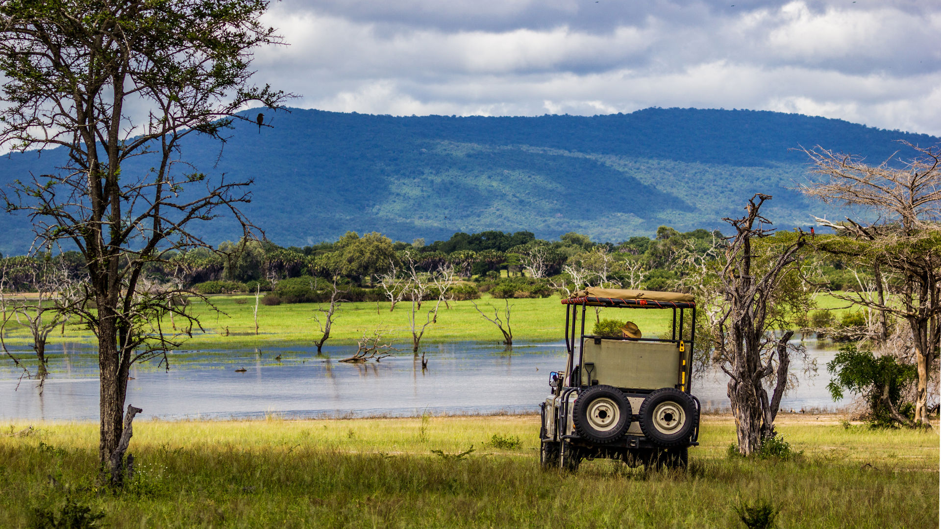 Safari selous vanuit zanzibar - Selous safari Zanzibar | Matoke Tours