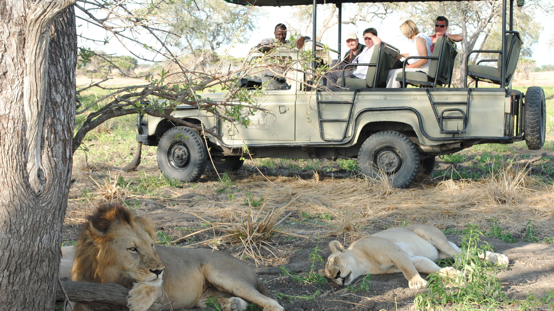 Zuid Tanzania safari met Comoren - Matoke Tours