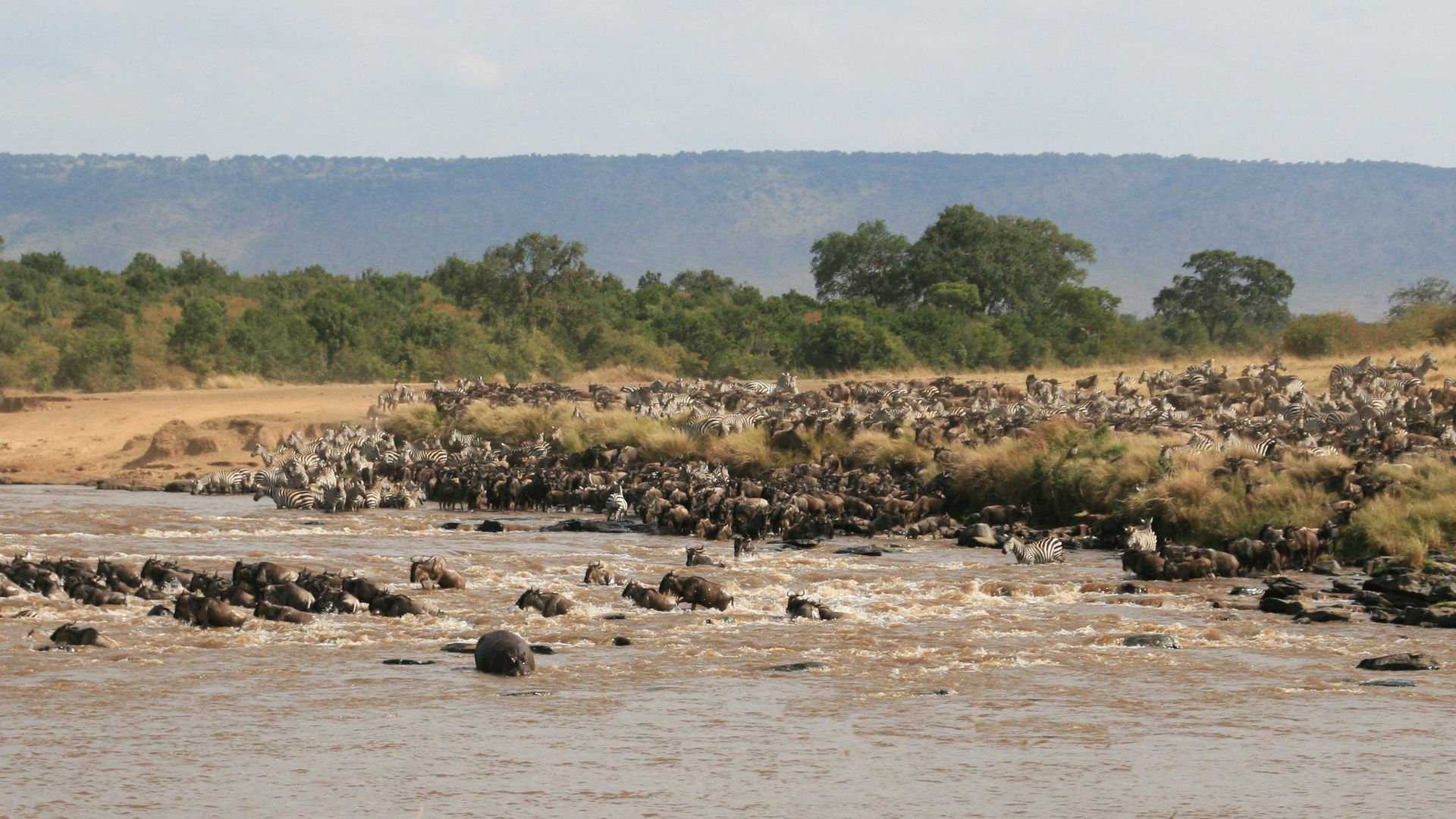 Beste reistijd Tanzania - Weer, klimaat & regenseizoen informatie