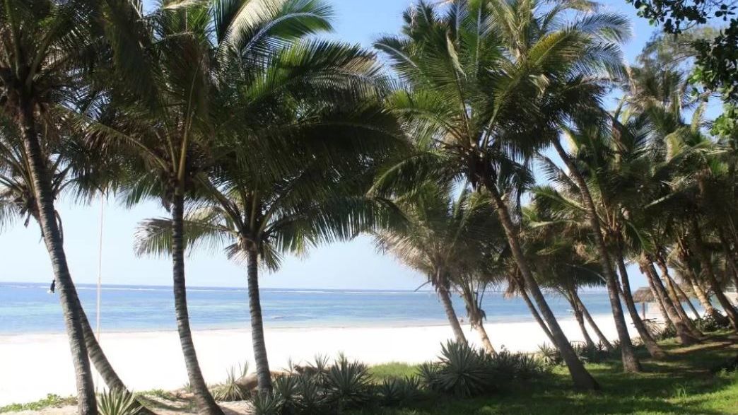 Diani Marine Village » Matoke