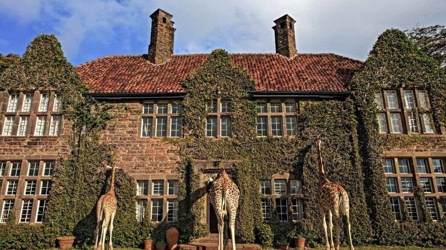 Giraffe Manor » Matoke