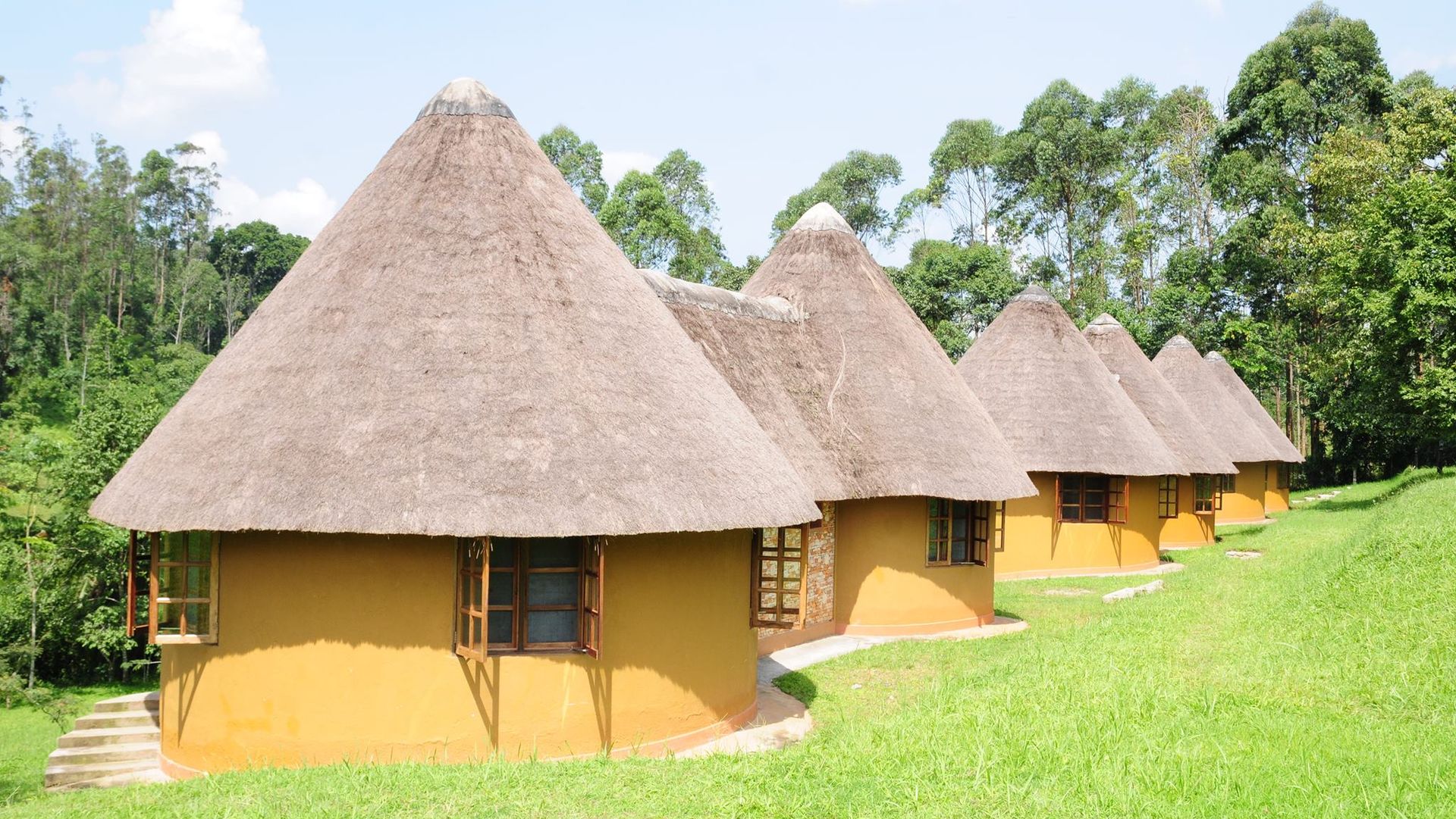 Kibale Guest Cottages » Matoke