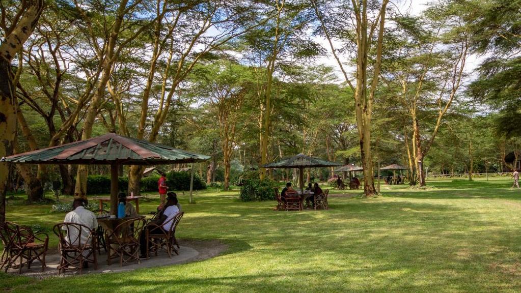 Lake Naivasha Crescent Camp » Matoke