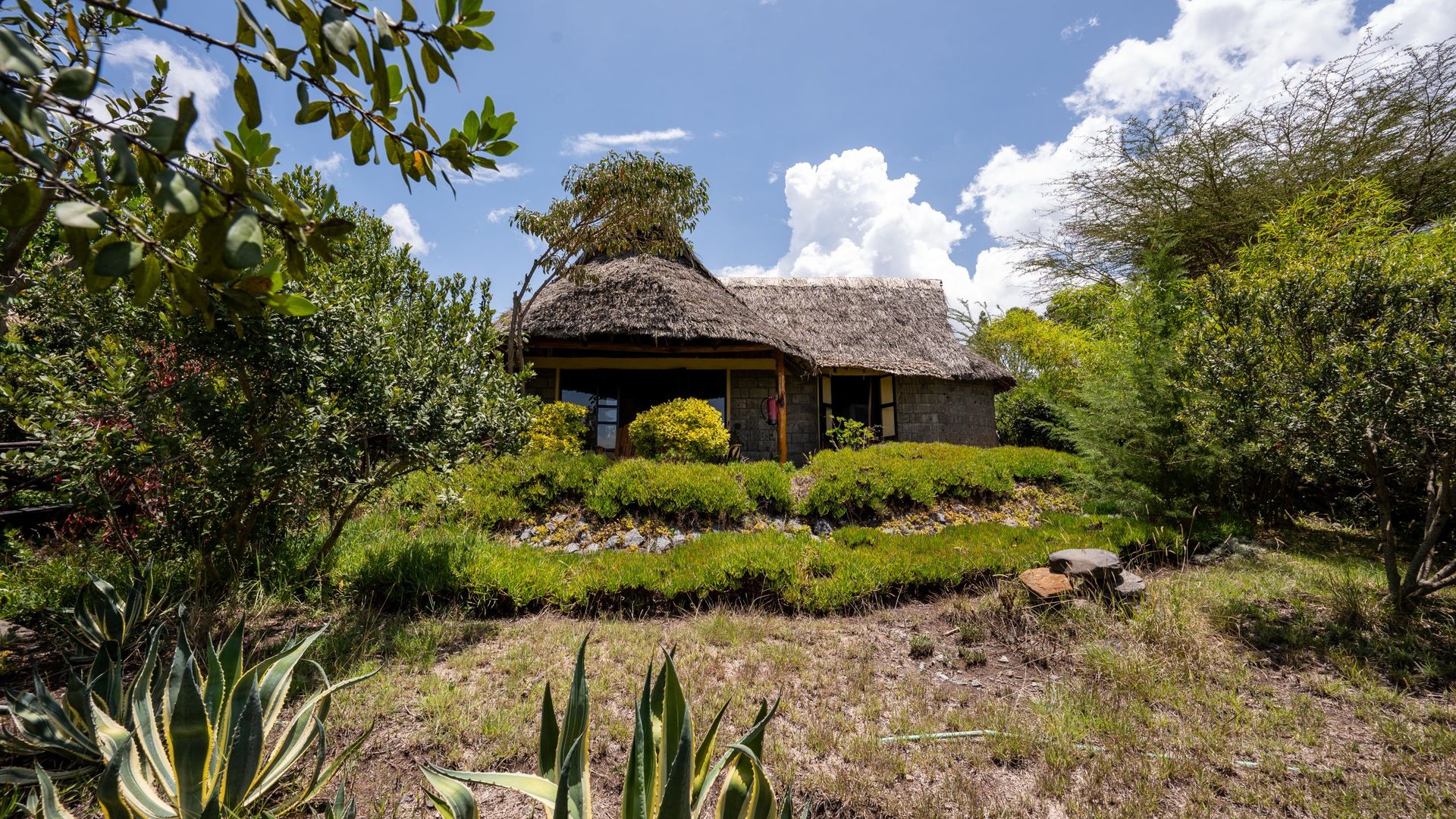 Rhino Watch Safari Lodge » Matoke