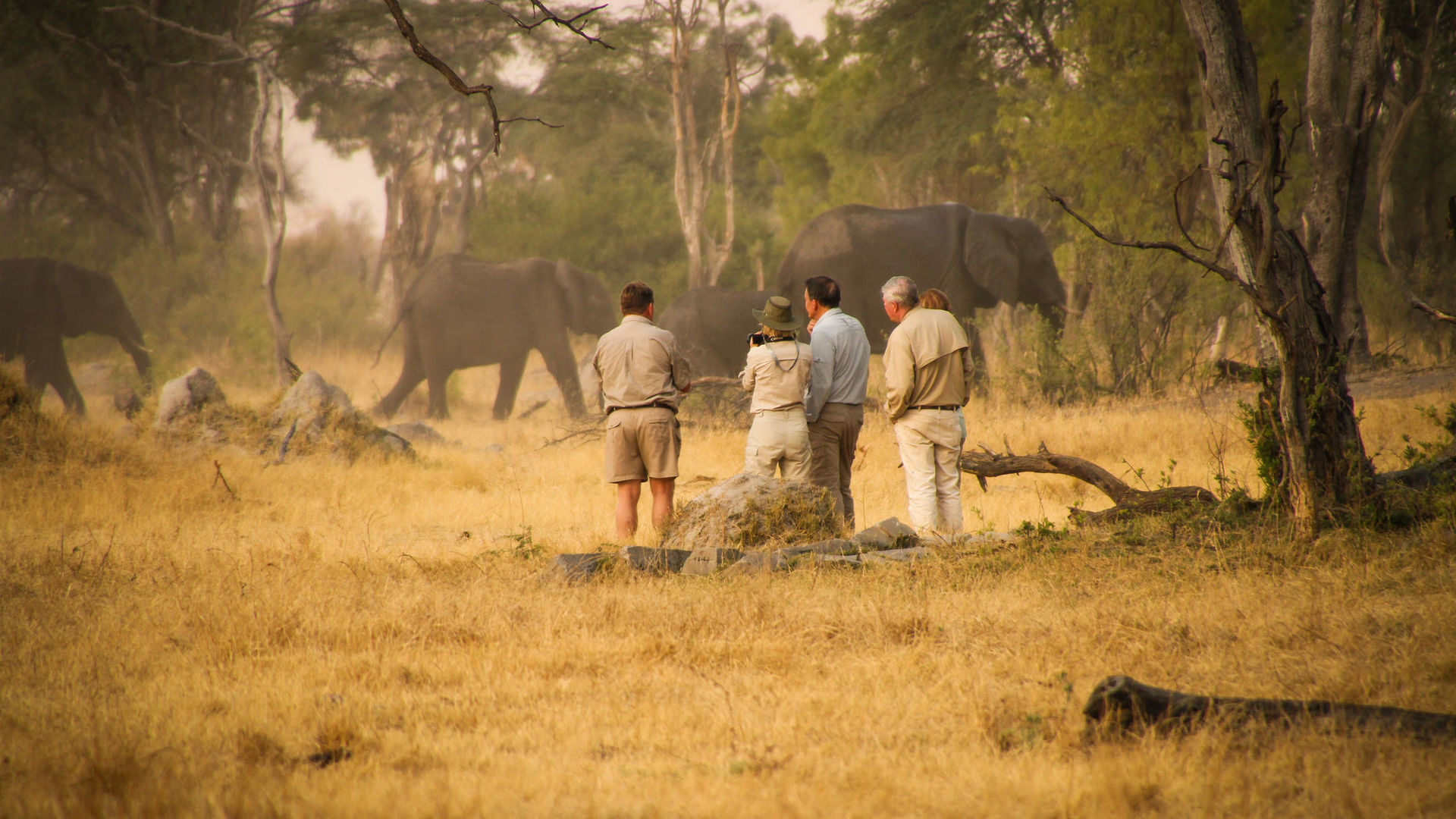 The Hide Safari Camp » Matoke