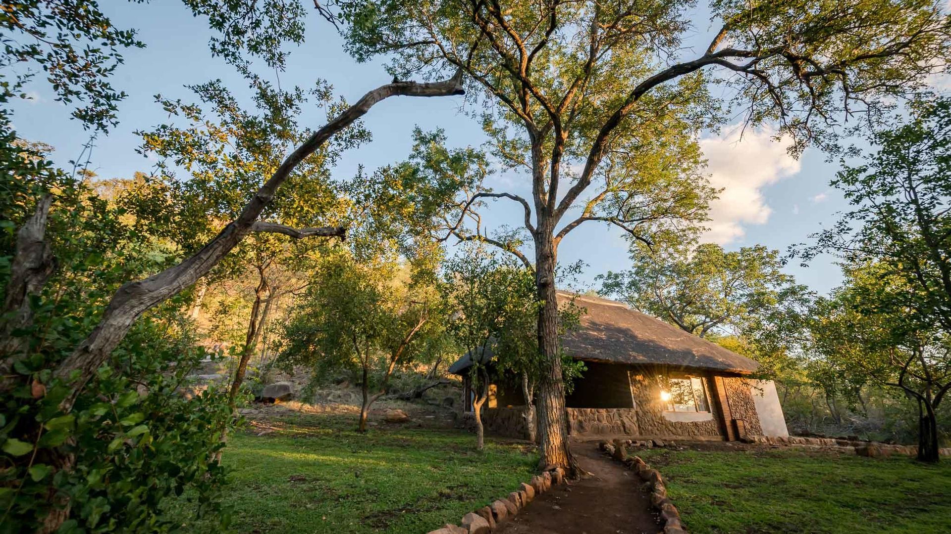 Chacma Bush Camp » Matoke