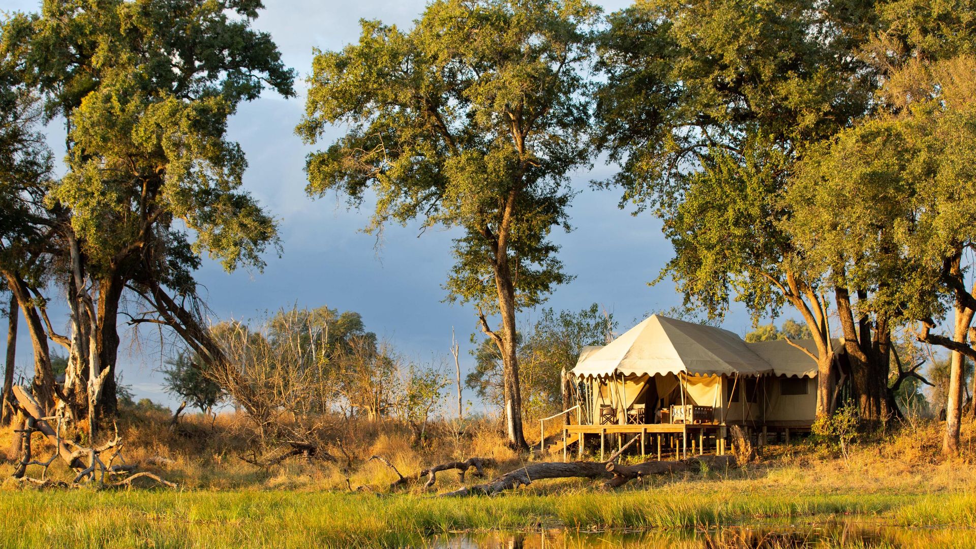 Duba Explorers Camp » Matoke