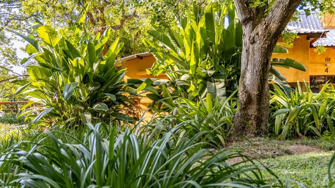 Gecko Lodge » Zuid Afrika » Matoke Tours