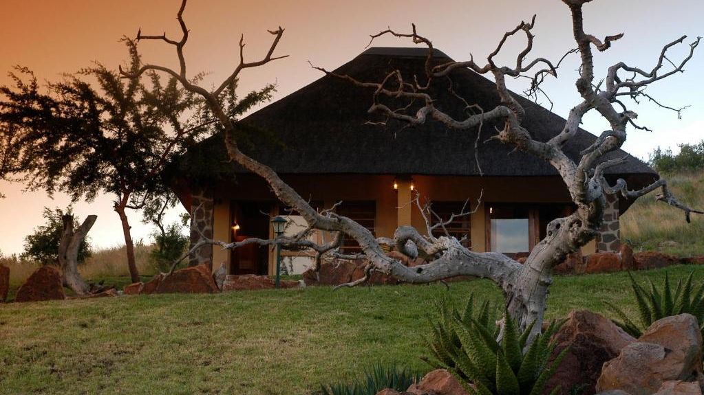 Hannah Game Lodge » Matoke