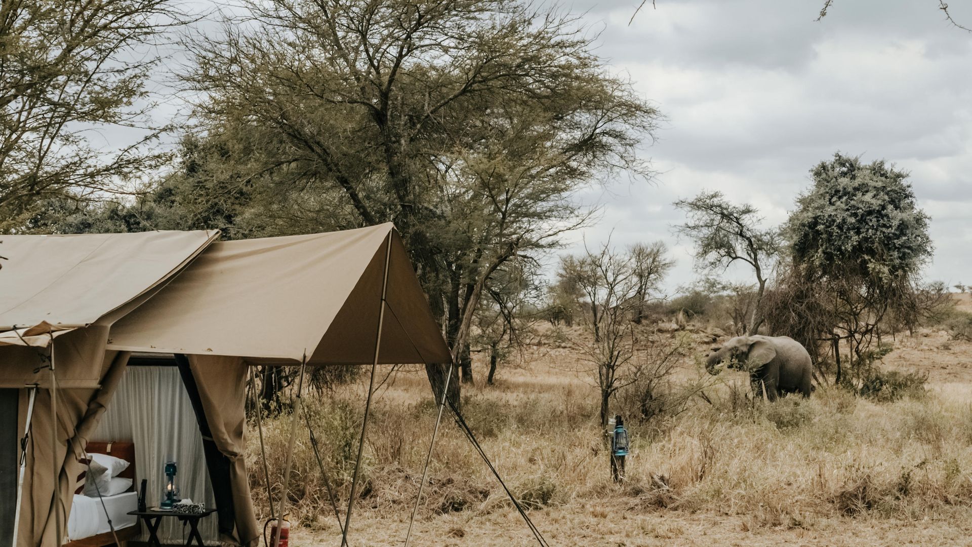 Wayo Little Green Camp » Tanzania » Matoke Tours