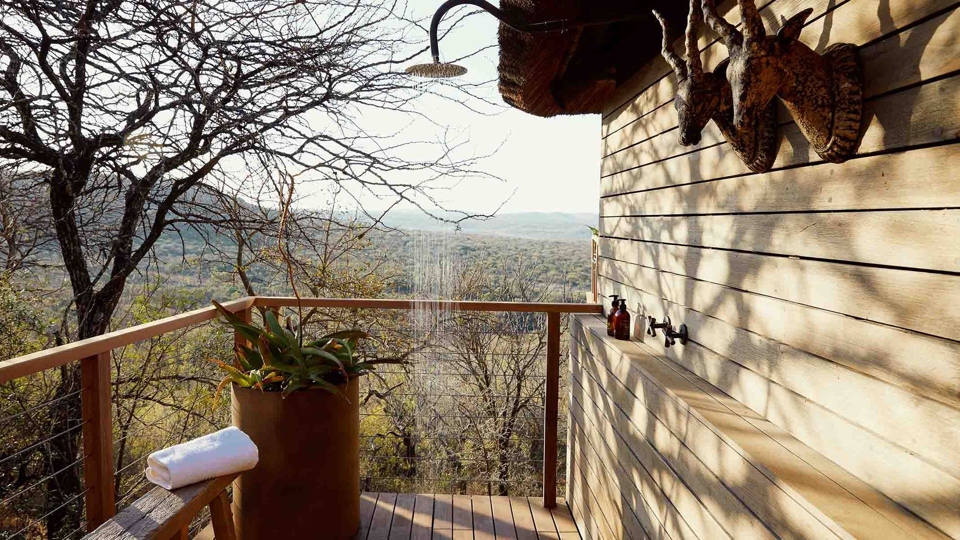 Nambiti Hills Game Lodge » Matoke
