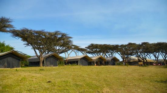 Ngorongoro Kuhama Camp » Matoke