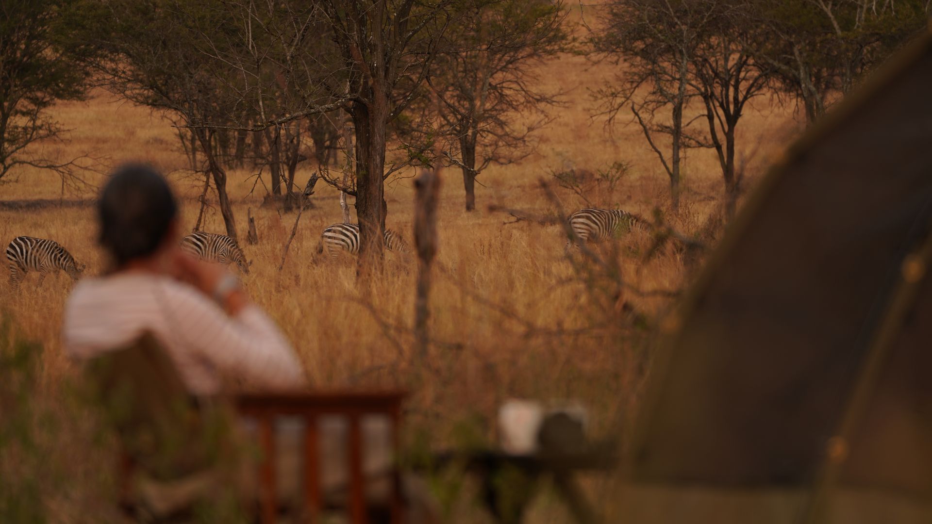 Wayo Walking Camp » Tanzania » Matoke Tours