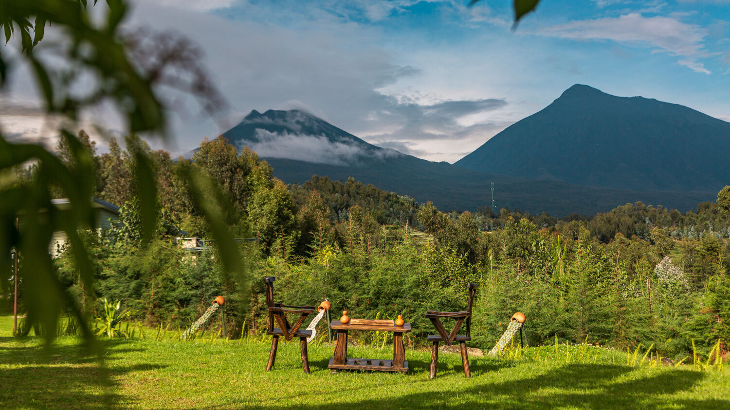 Gorillagroepen in Rwanda » Matoke