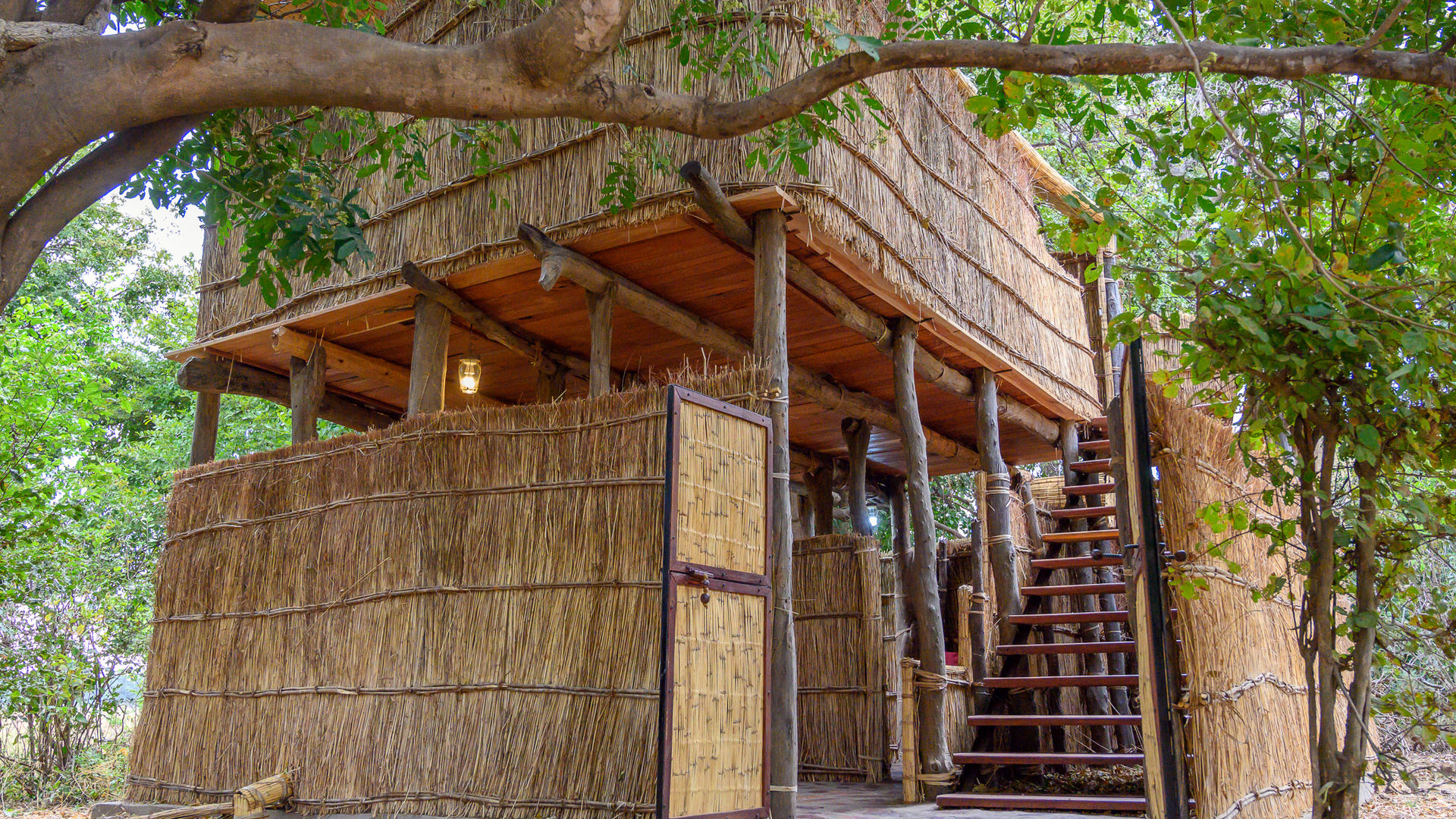 Chikoko Tree Camp » Matoke