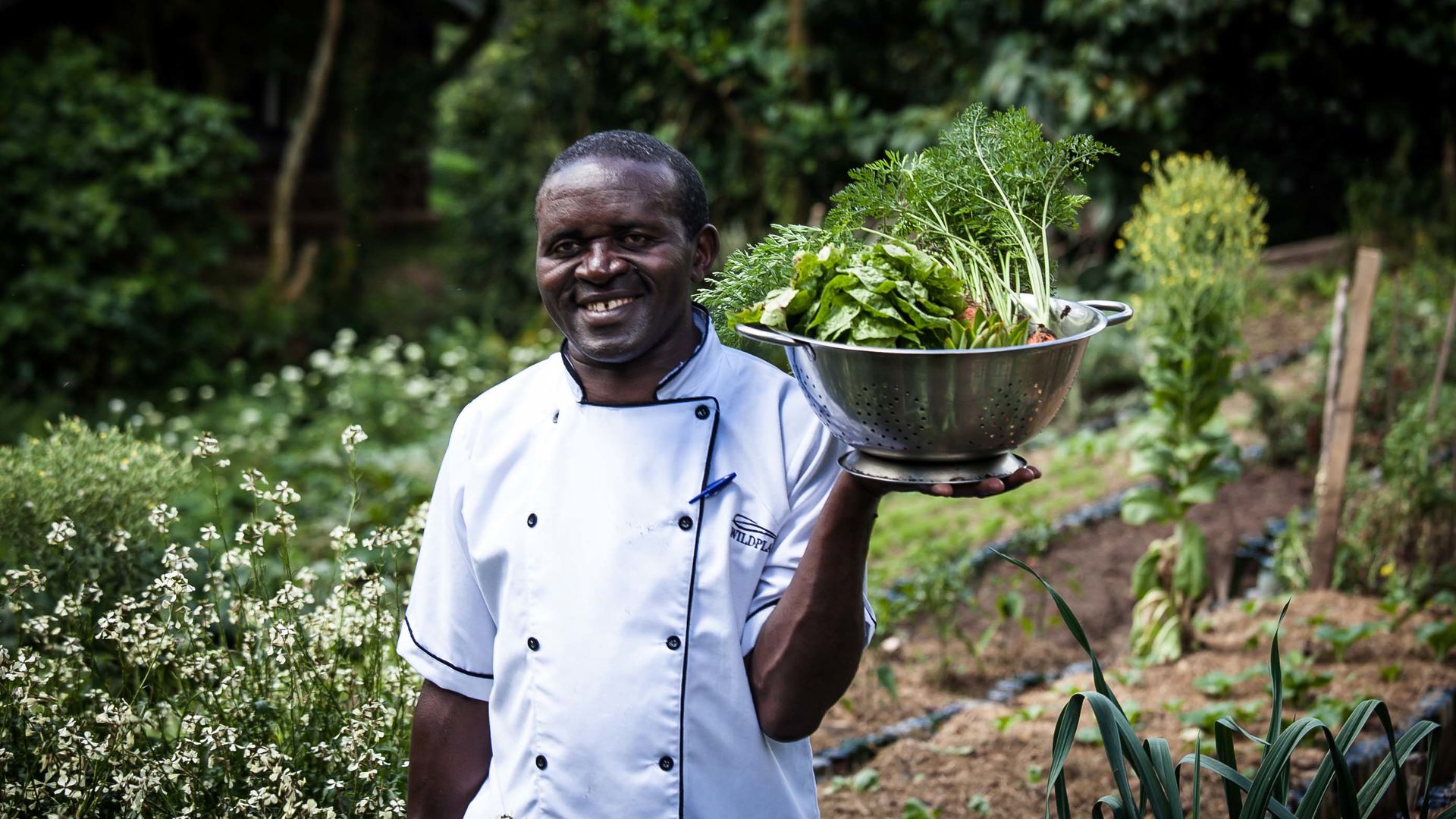 Clouds Mountain Gorilla Lodge » Matoke