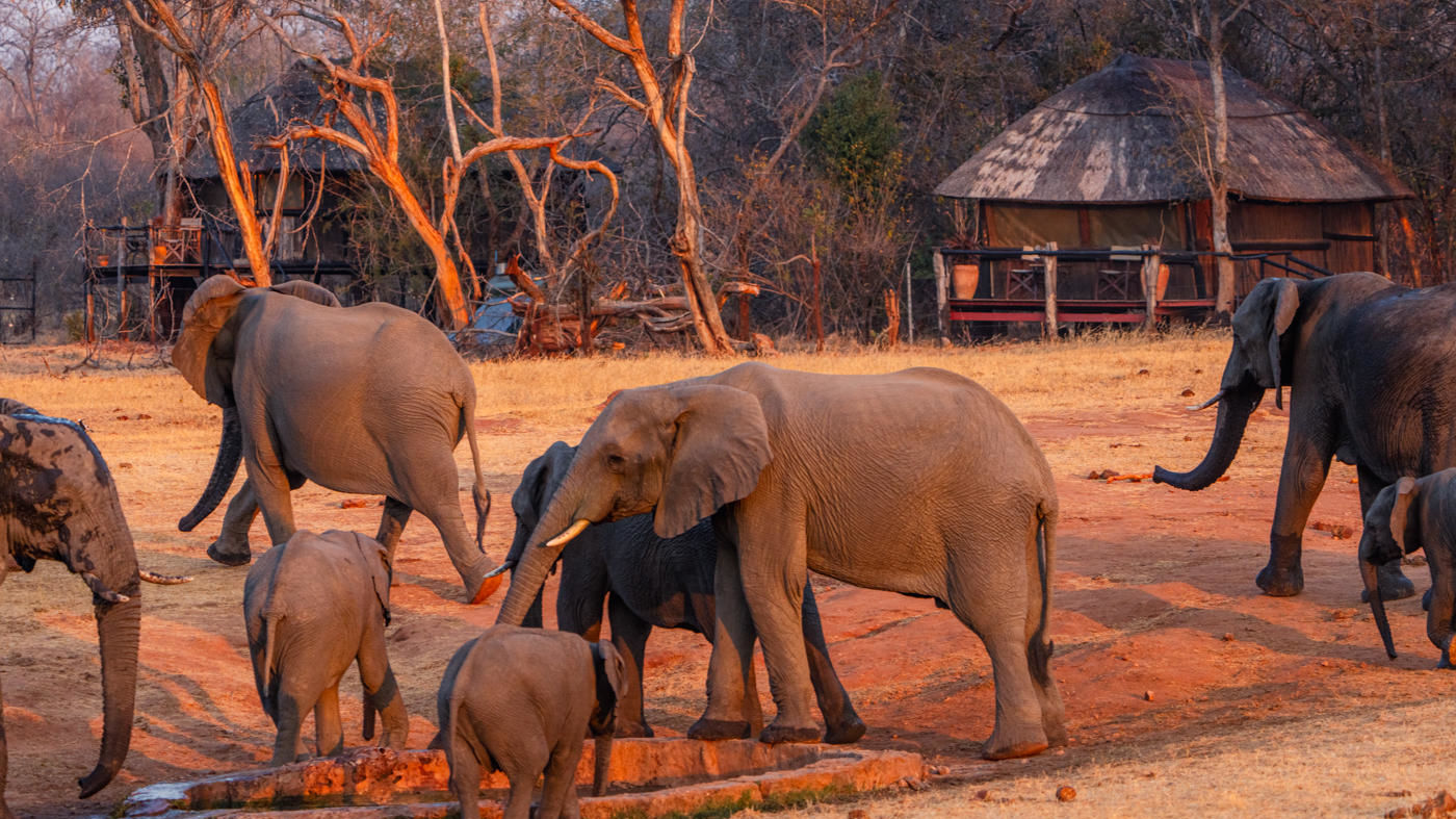 Self drive Zimbabwe - 4x4 autorondreis Zimbabwe met Matoke Tours