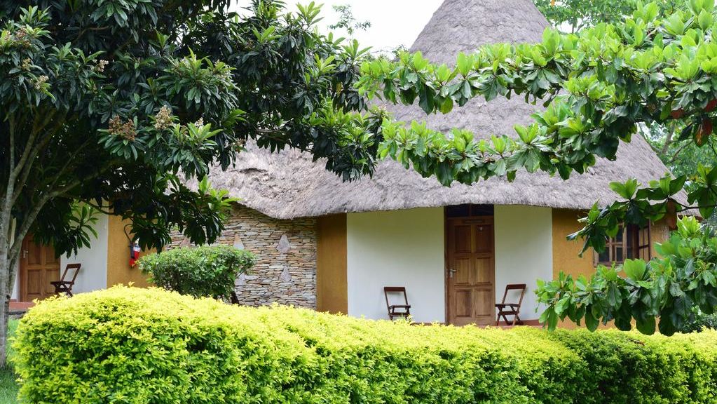 Kibale Guest Cottages » Matoke