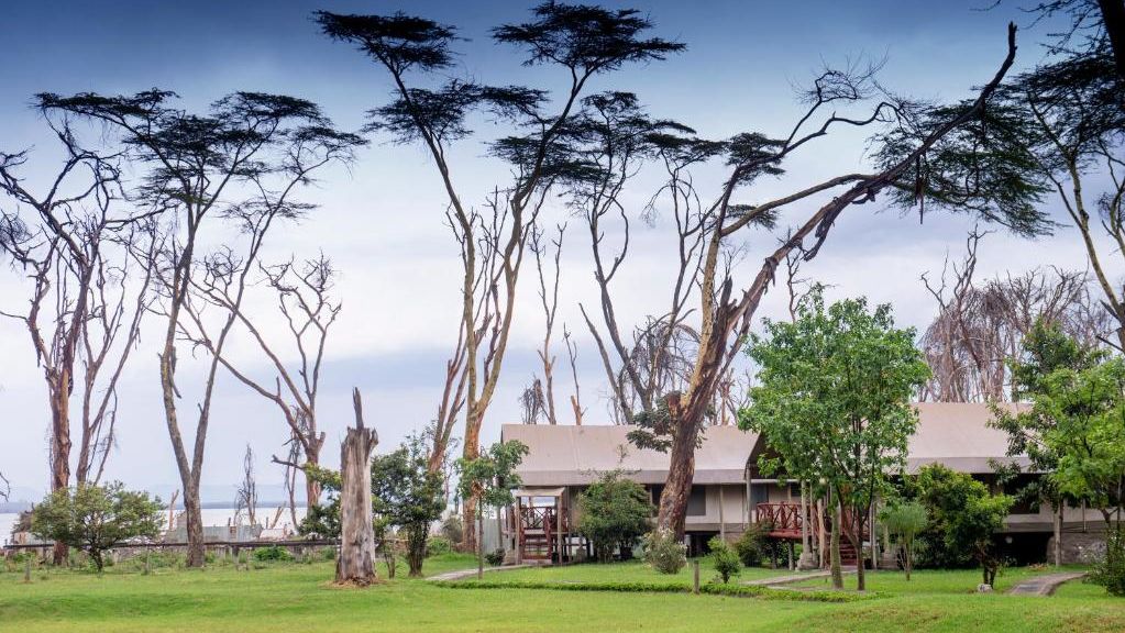 Lake Naivasha Crescent Camp » Matoke