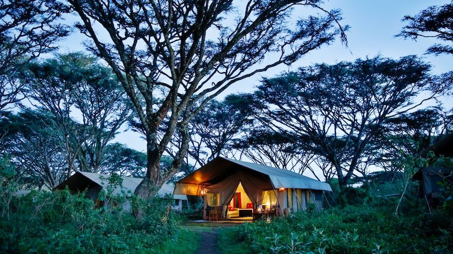 Lemala Ngorongoro Tented Camp » Matoke