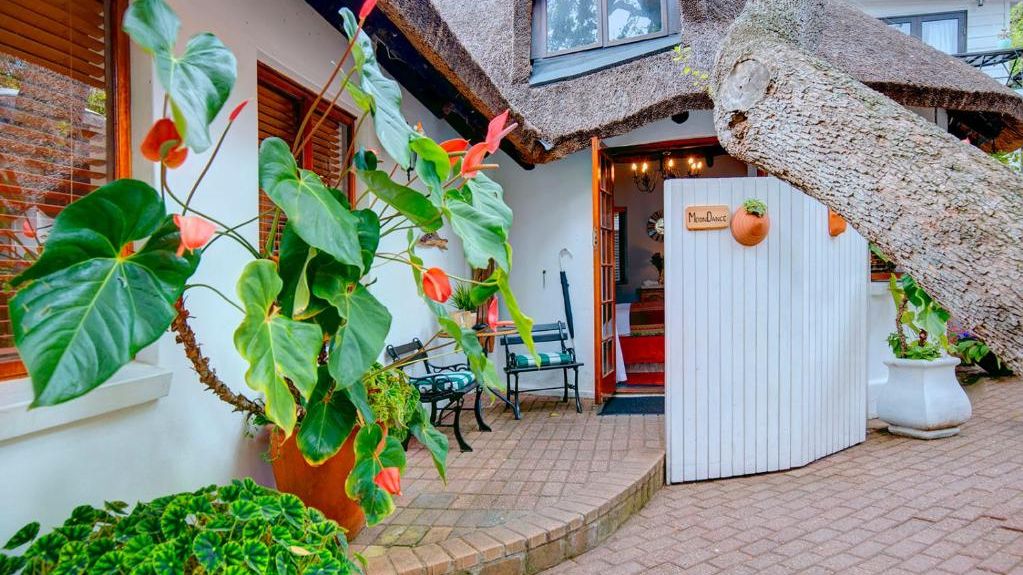 Moontide Riverside Lodge » Matoke