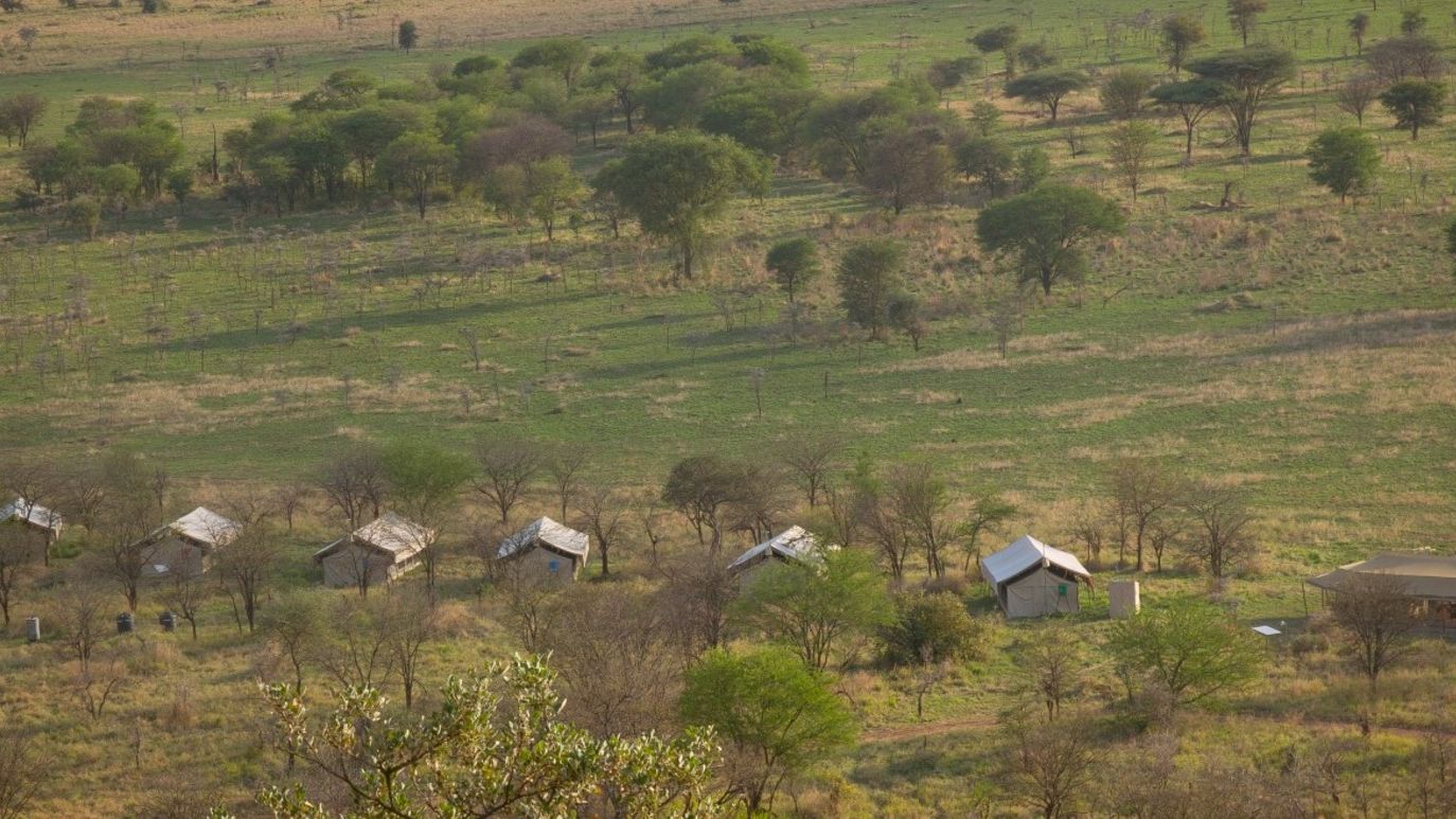 Ngorongoro Kuhama Camp » Matoke