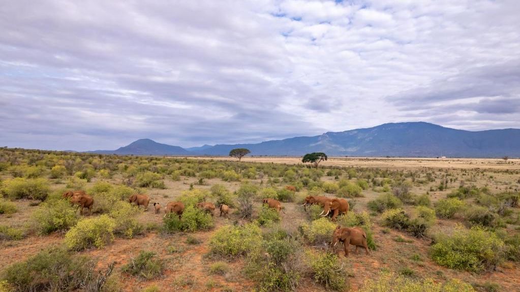 Sentrim Tsavo Lodge » Matoke