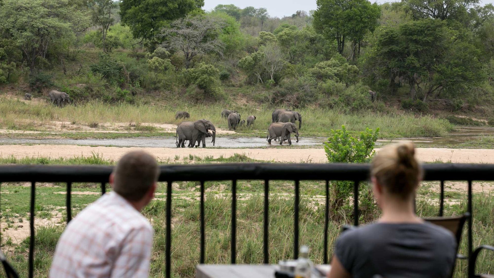 Umkumbe Safari Lodge » Matoke