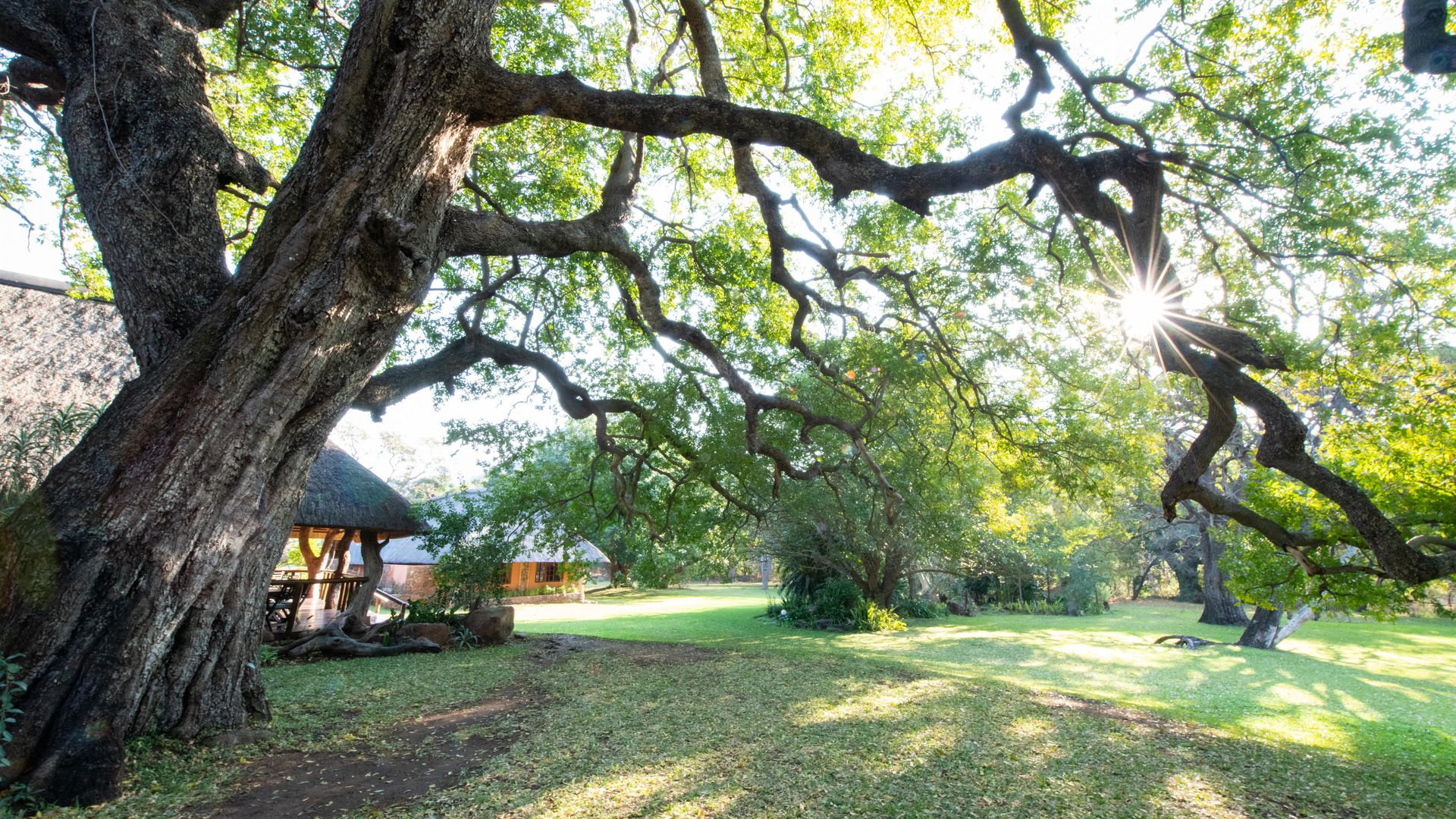 Blyde River Canyon Lodge » Matoke