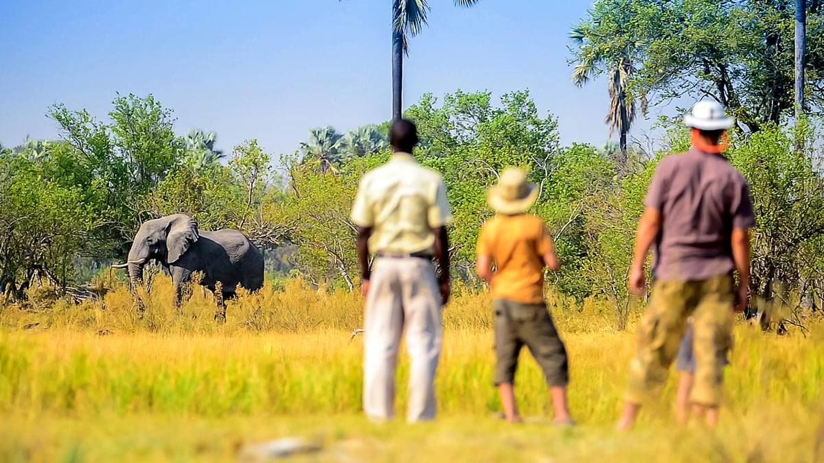 Rondreis Botswana 14 dagen met Helikoptersafari - Matoke Tours