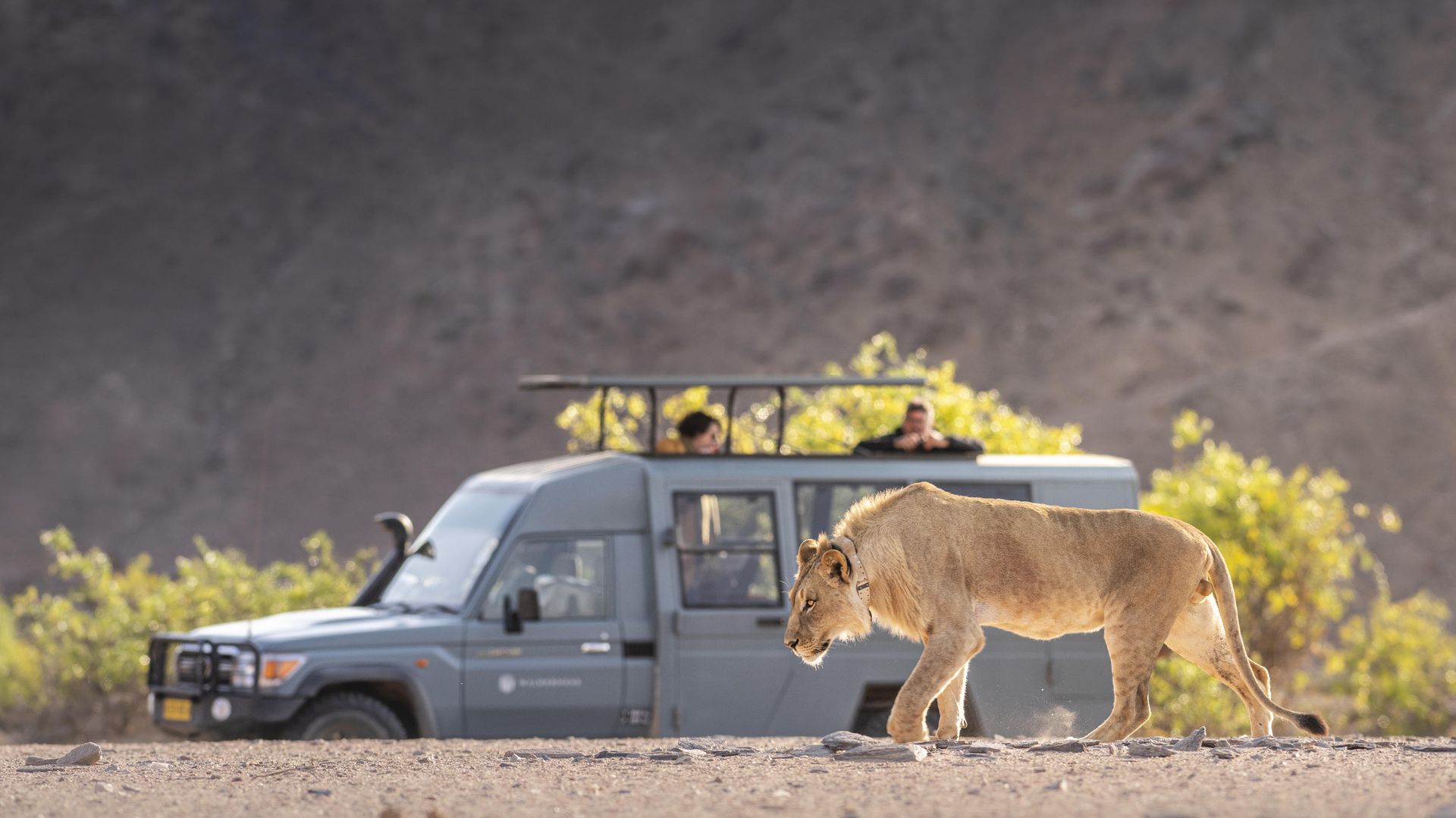 Hoanib Skeleton Coast Camp » Matoke