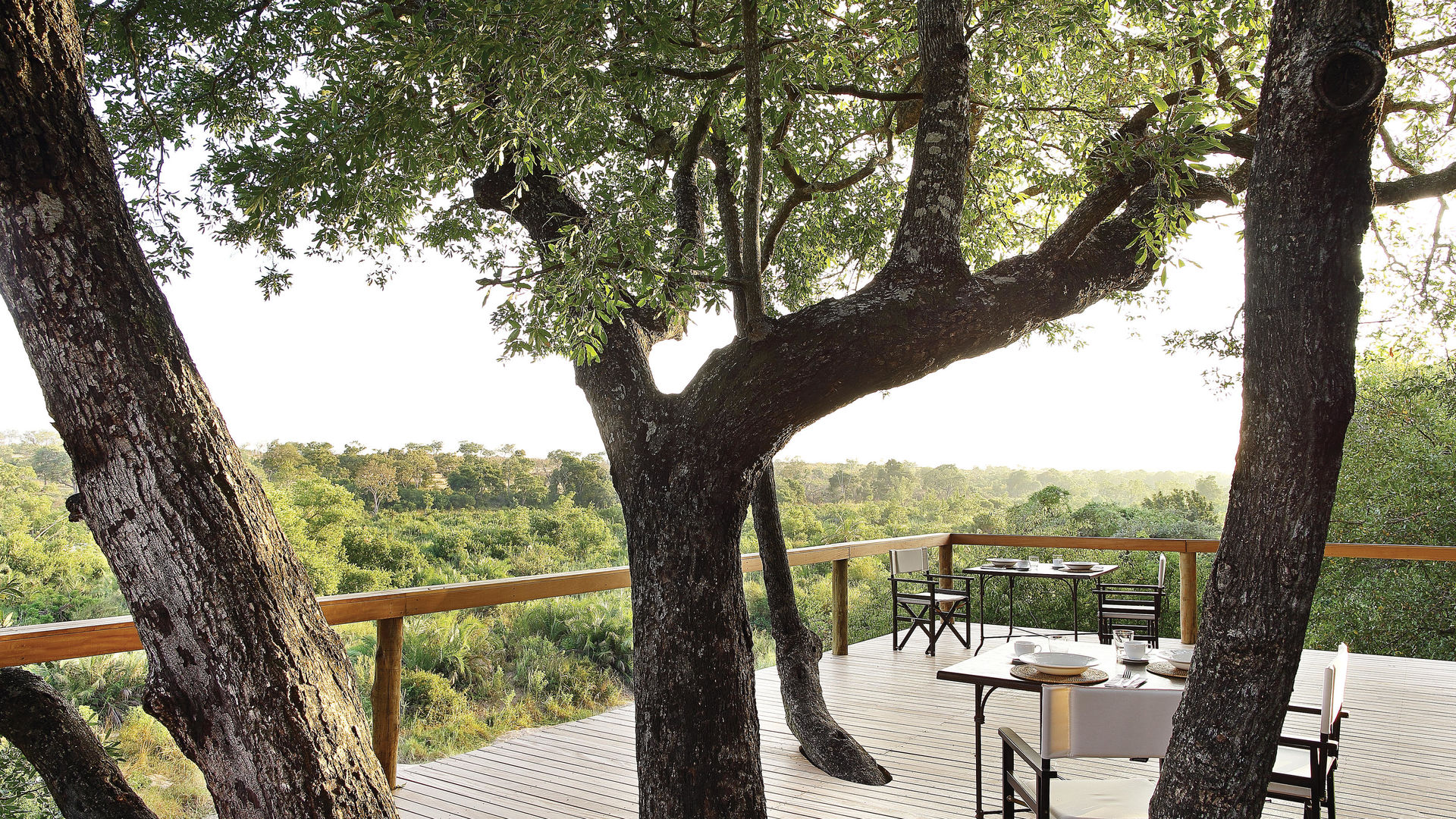 Londolozi Tree Camp » Matoke