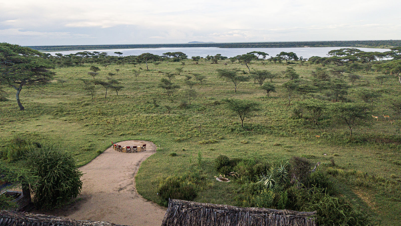 Ndutu Safari Lodge » Matoke