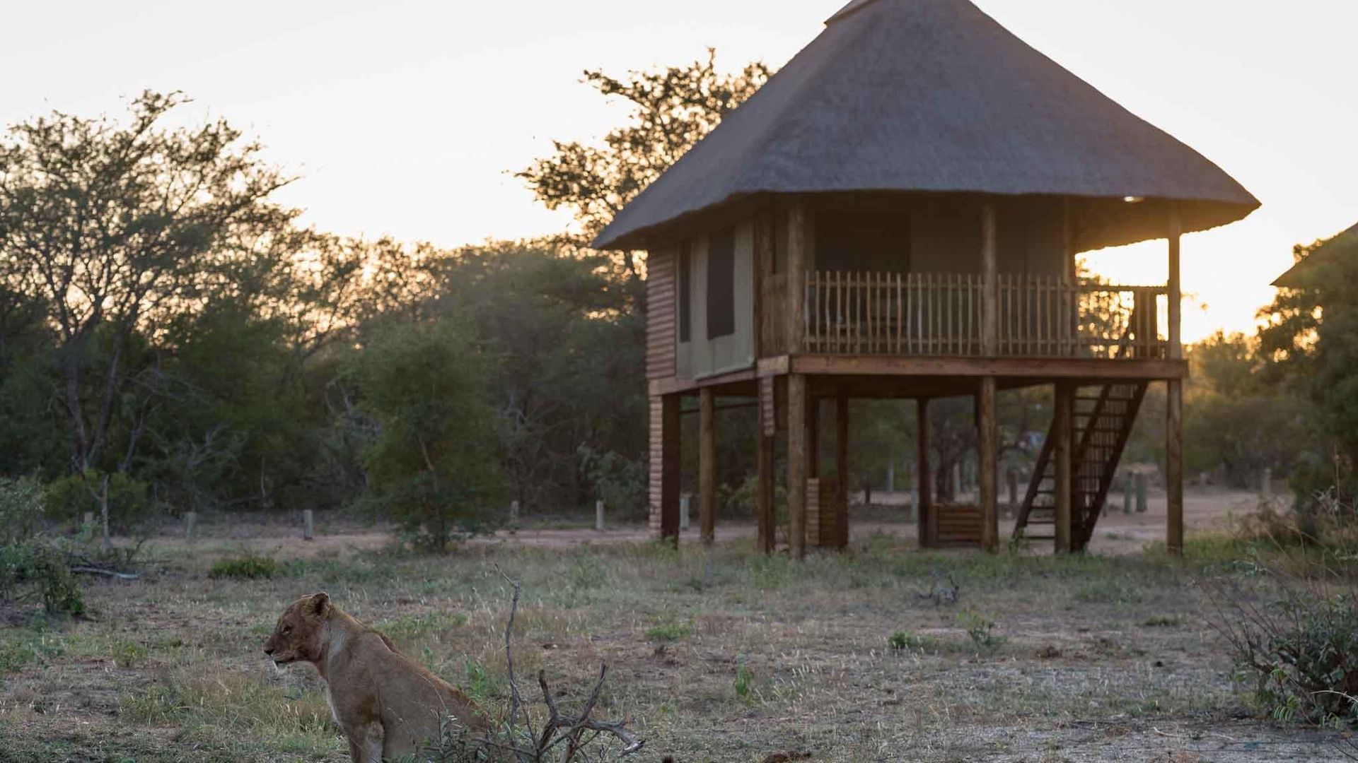 nThambo Tree Camp » Matoke