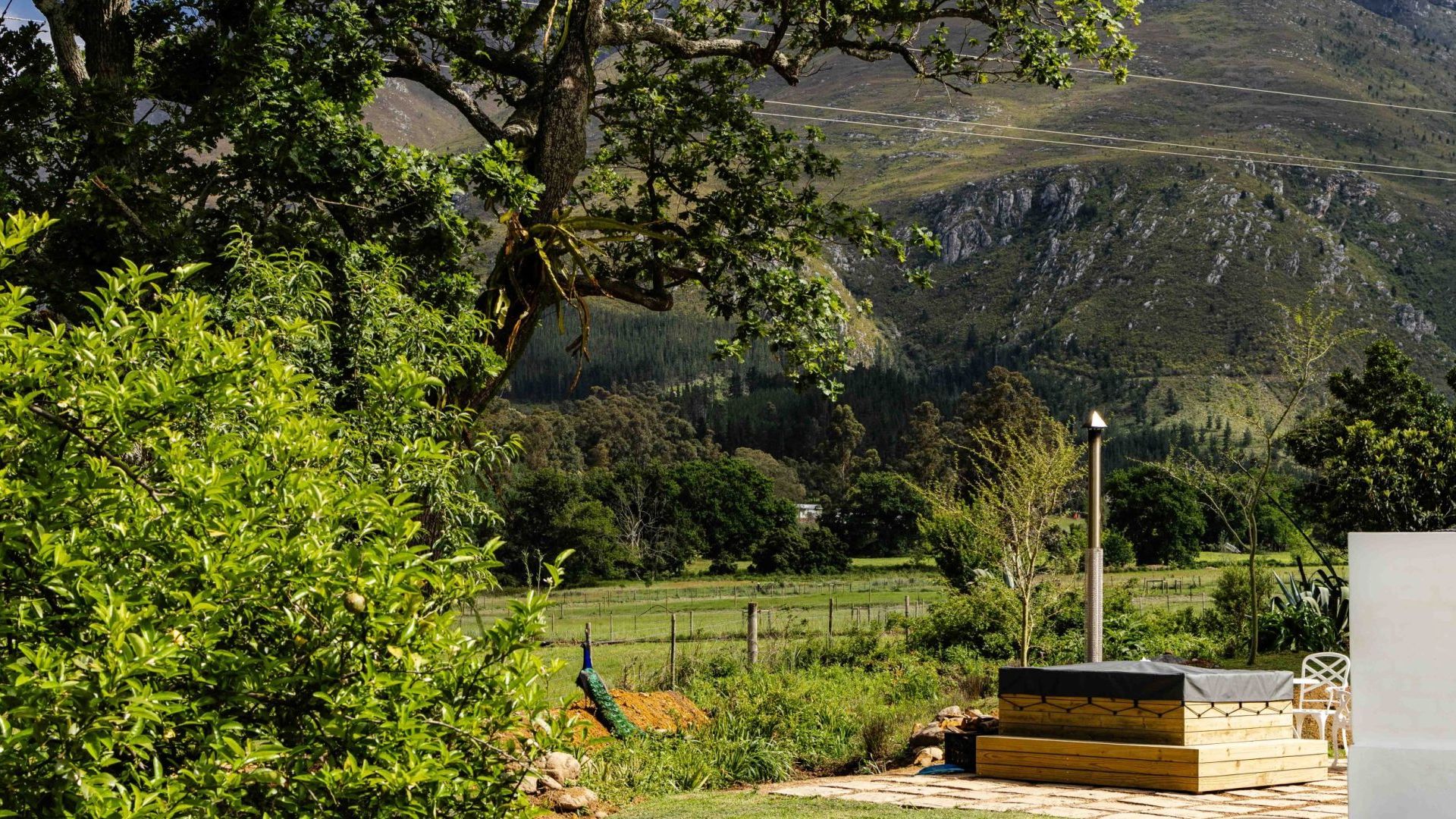 The Hamlet » Matoke