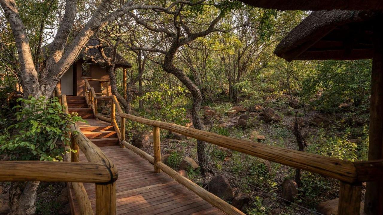 Tshwene Lodge » Matoke