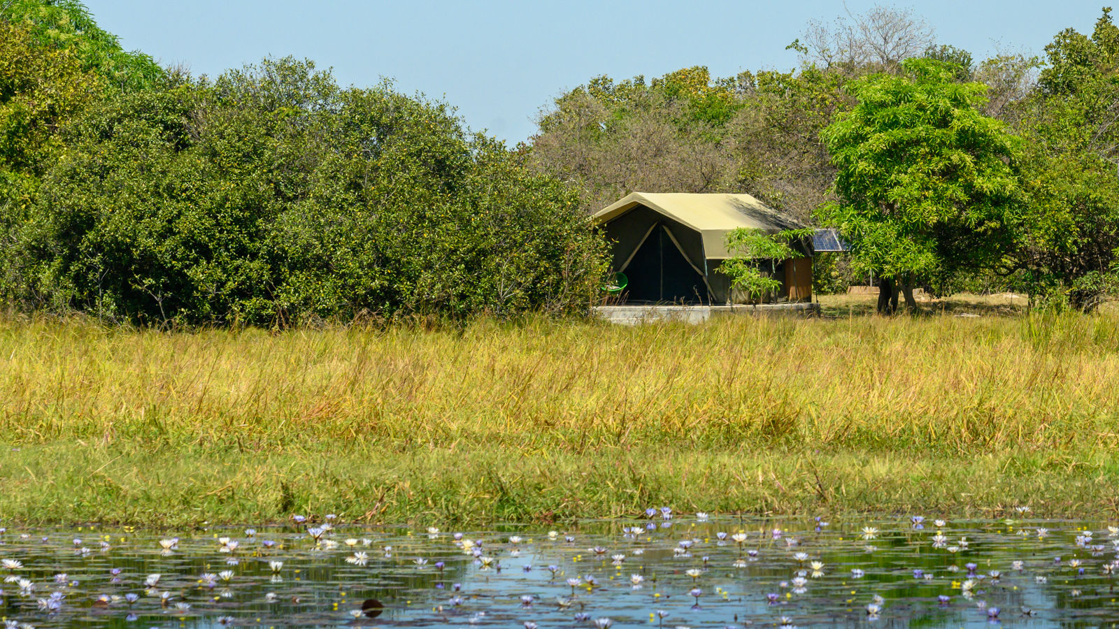 Shoebill Island Camp » Matoke