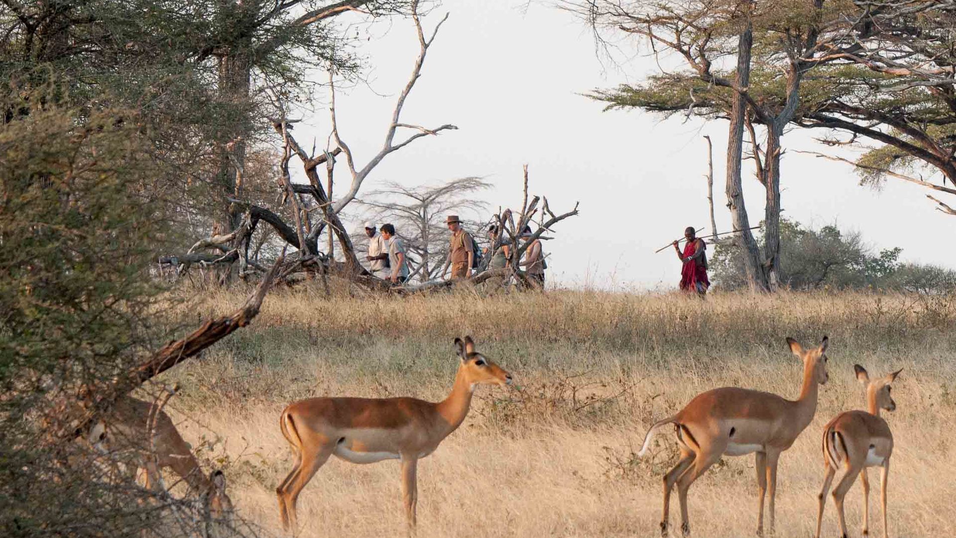 Safari selous vanuit zanzibar - Selous safari Zanzibar | Matoke Tours