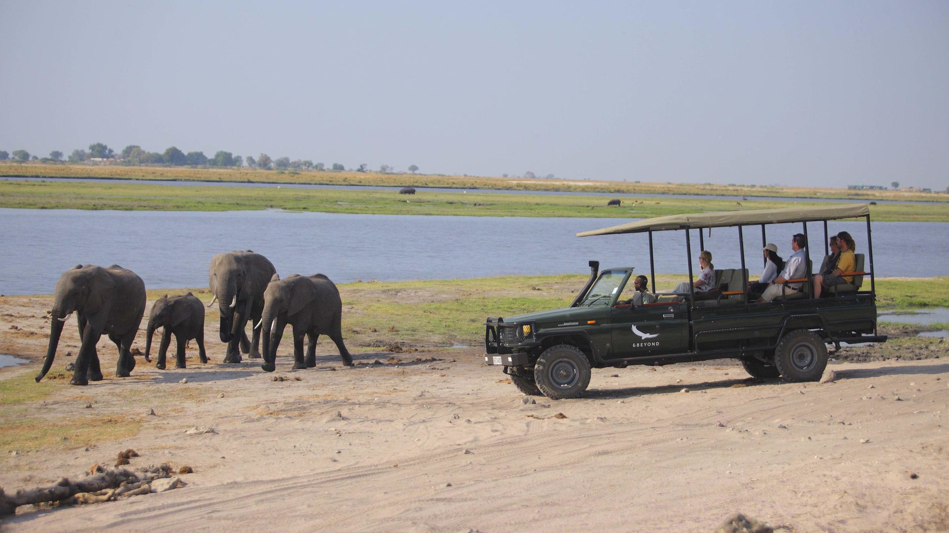 Chobe Under Canvas » Matoke