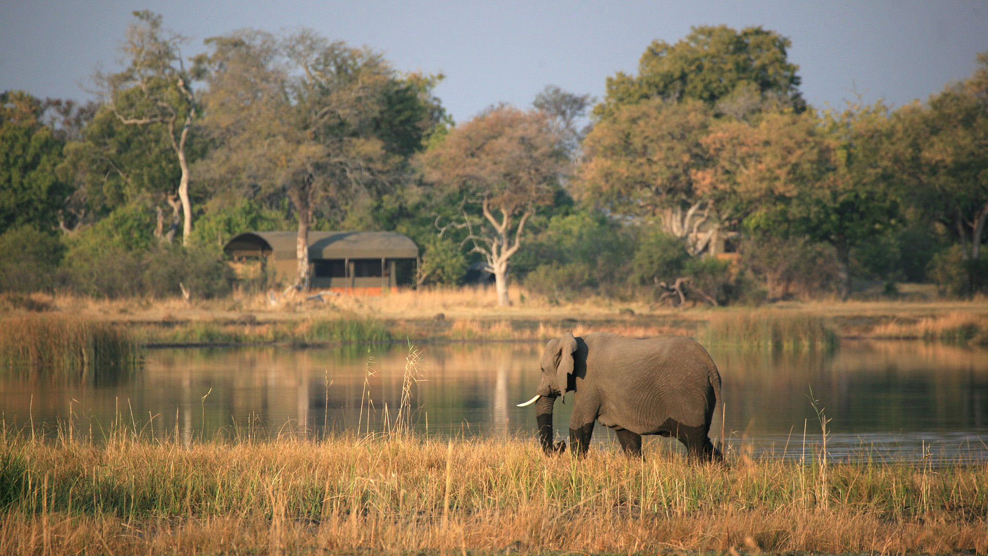 Jackalberry Tented Camp » Matoke