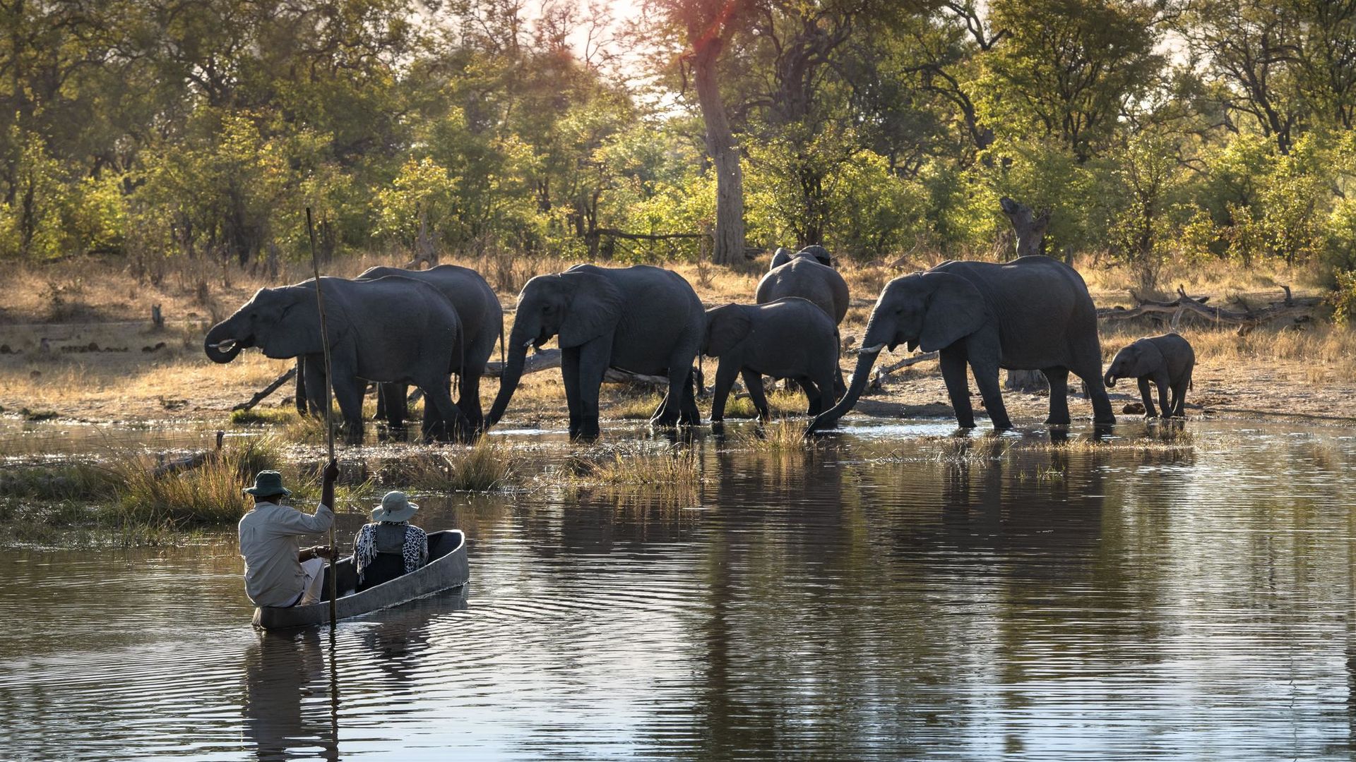 Rondreis Zimbabwe en Botswana - Matoke Tours