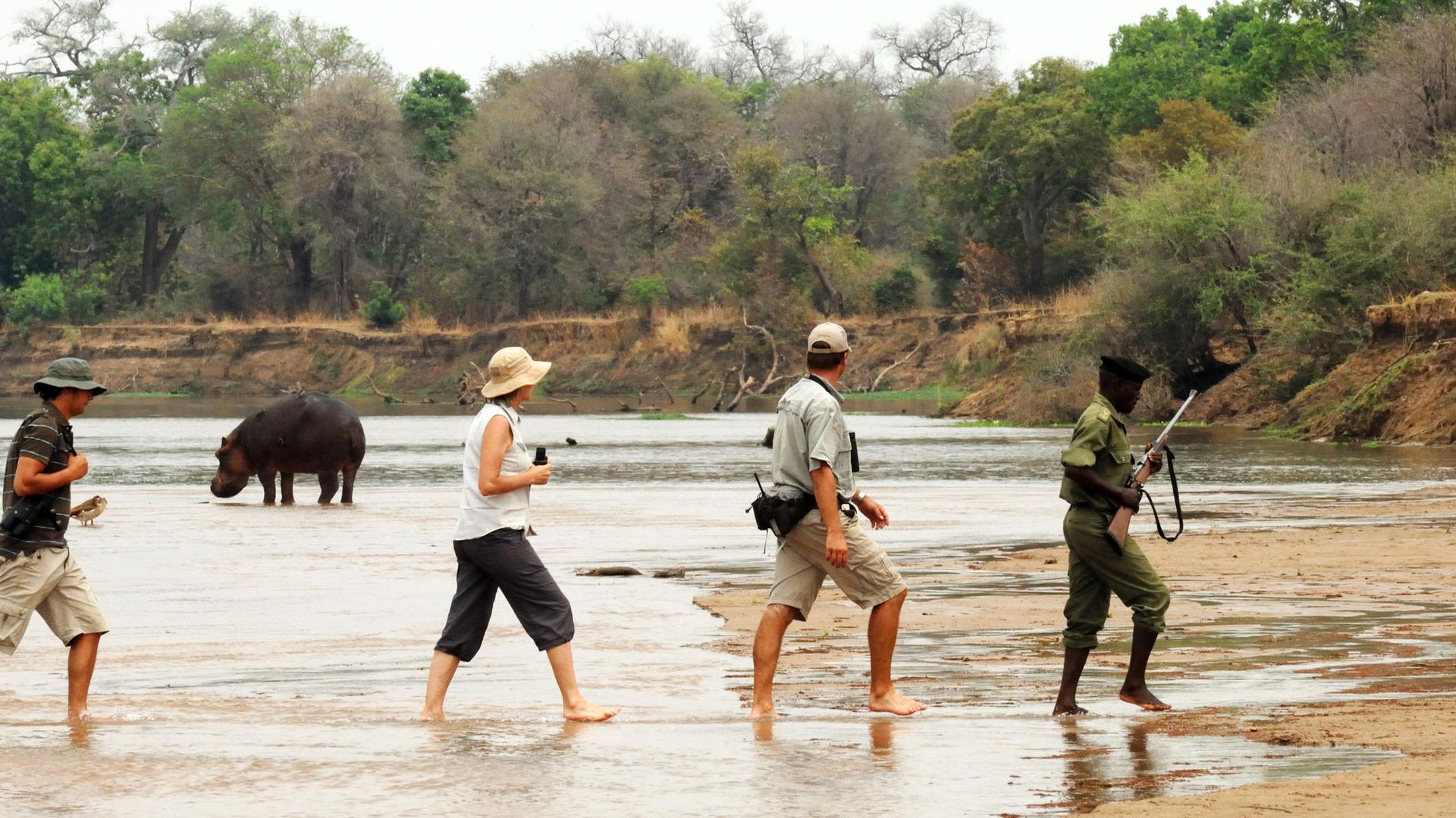 Mwaleshi Camp » Zambia » Matoke Tours